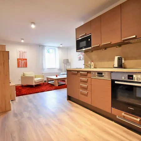 Dalibor Ii With Private Entrance And Private Garage Apartment