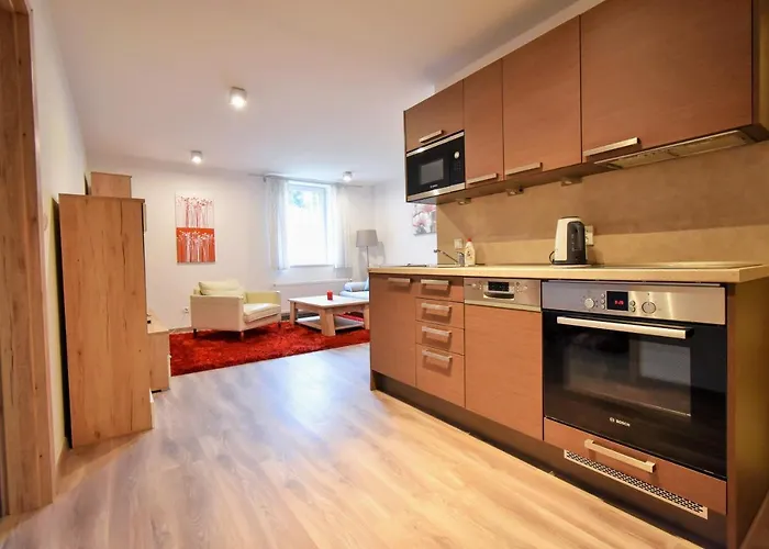 Dalibor Ii With Private Entrance And Private Garage Apartment