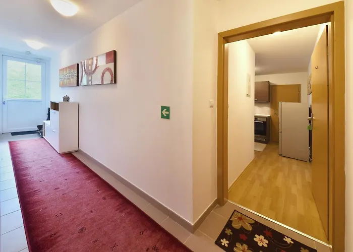 Apartment Dalibor Ii With Private Entrance And Private Garage